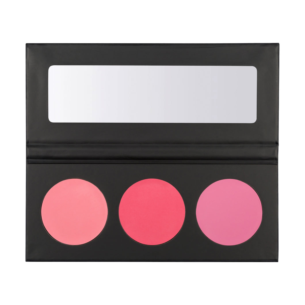 High Definition Blush Palette Pinks